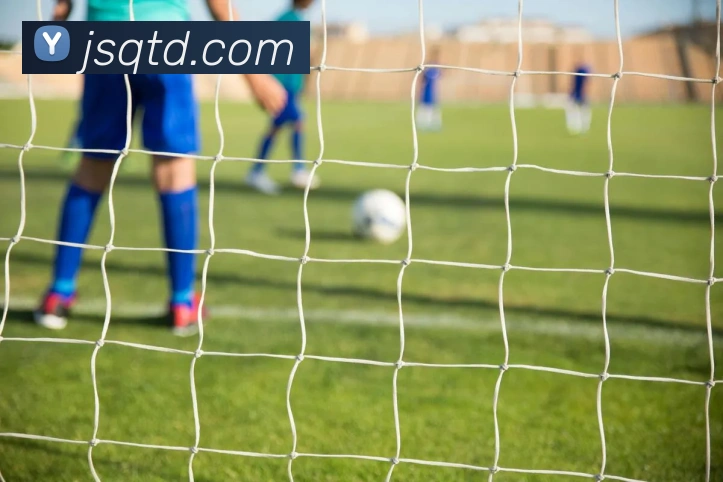 彩神vll平台生态图